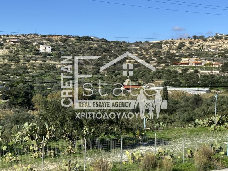 Αγροτεμάχια 5.000 τ.μ. προς πώληση, Μεσελέροι