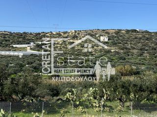 Αγροτεμάχια 5.000 τ.μ. για πώληση, Ν. Λασιθίου, Ιεράπετρα-thumb-3