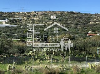 Αγροτεμάχια 5.000 τ.μ. για πώληση, Ν. Λασιθίου, Ιεράπετρα-thumb-5