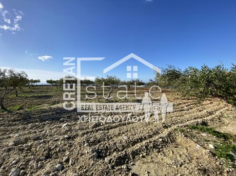 Αγροτεμάχια 15.000τ.μ. για πώληση-Ιεράπετρα » Κεφάλα