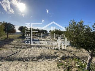 Αγροτεμάχια 15.000 τ.μ. προς πώληση, Κεφάλα Ιεράπετρας-thumb-9
