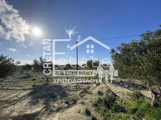 Αγροτεμάχια 15.000 τ.μ. προς πώληση, Κεφάλα Ιεράπετρας-thumb-8