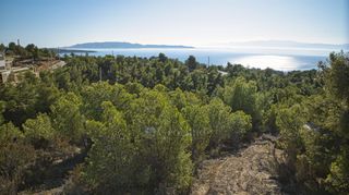 Οικόπεδο 404 τ.μ. για πώληση, Αργολίδα, Κρανίδι-thumb-9