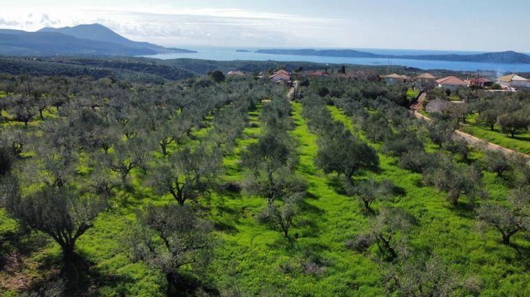 Οικόπεδο 3.100 τ.μ. για πώληση, Μεσσηνία, Πύλος