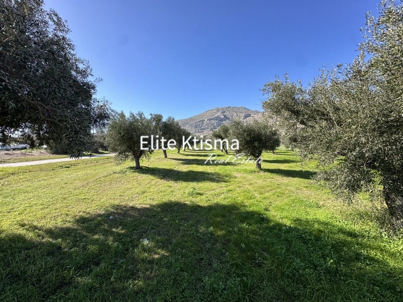 Αγροτεμάχια 4.030 τ.μ. πρός πώληση, Αττική - Υπόλοιπο, Καλύβια Θορικού
