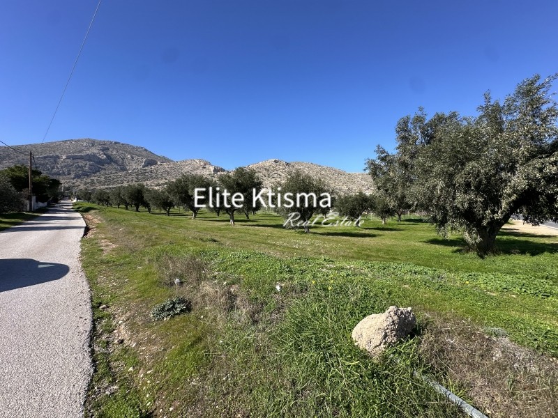 Αγροτεμάχια 4.030 τ.μ. πρός πώληση, Αττική - Υπόλοιπο, Καλύβια Θορικού
