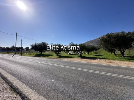 Αγροτεμάχια 4.030τ.μ. για πώληση-Καλύβια θορικού » Λαγονήσι