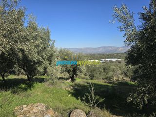 Parcel 4.000 sqm for sale, Argolis, Midea-thumb-5