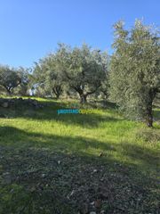 Parcel 4.000 sqm for sale, Argolis, Midea-thumb-12