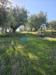 Parcel 4.000 sqm for sale, Argolis, Midea-thumb-11