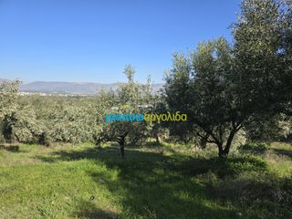 Parcel 4.000 sqm for sale, Argolis, Midea-thumb-7