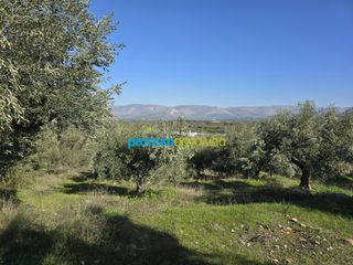 Parcel 4.000 sqm for sale, Argolis, Midea-thumb-3