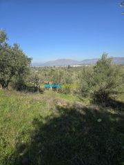 Parcel 4.000 sqm for sale, Argolis, Midea-thumb-14