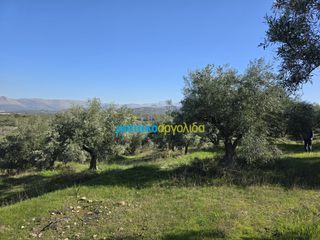 Parcel 4.000 sqm for sale, Argolis, Midea-thumb-1