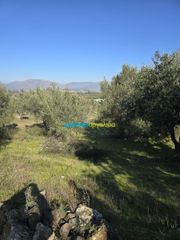 Parcel 4.000 sqm for sale, Argolis, Midea-thumb-10