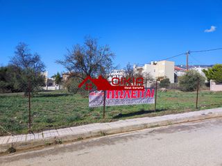 Οικόπεδο 3.500 τ.μ. για πώληση