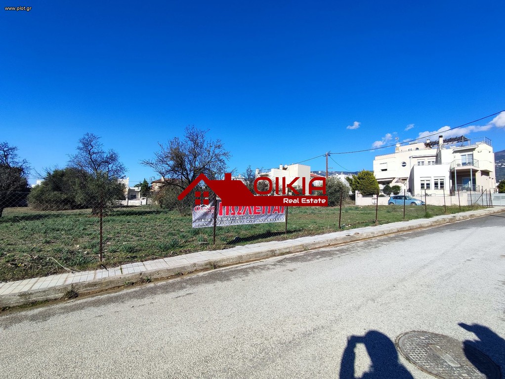 Οικόπεδο 3.500 τ.μ. προς πώληση, Μαγνησία, Βόλος