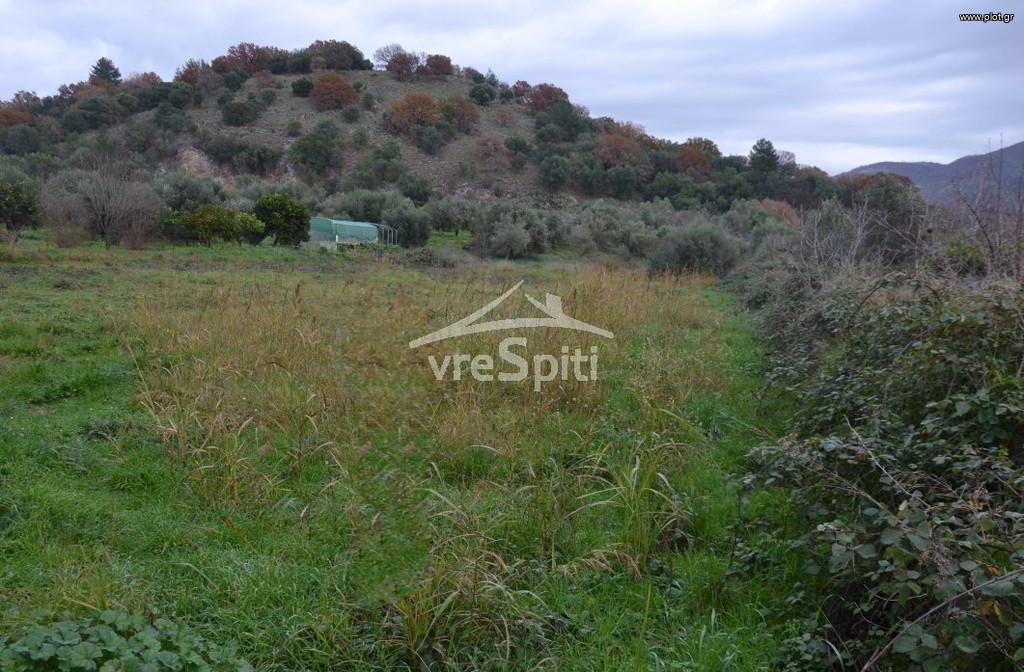 Αγροτεμάχια 5.300 τ.μ. για πώληση, Θεσπρωτία, Ηγουμενίτσα