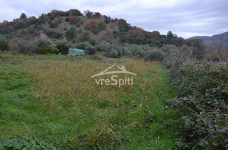 Other 5.300 sqm for sale