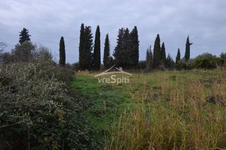 Αγροτεμάχια 5.300 τ.μ. για πώληση, Θεσπρωτία, Ηγουμενίτσα-thumb-1