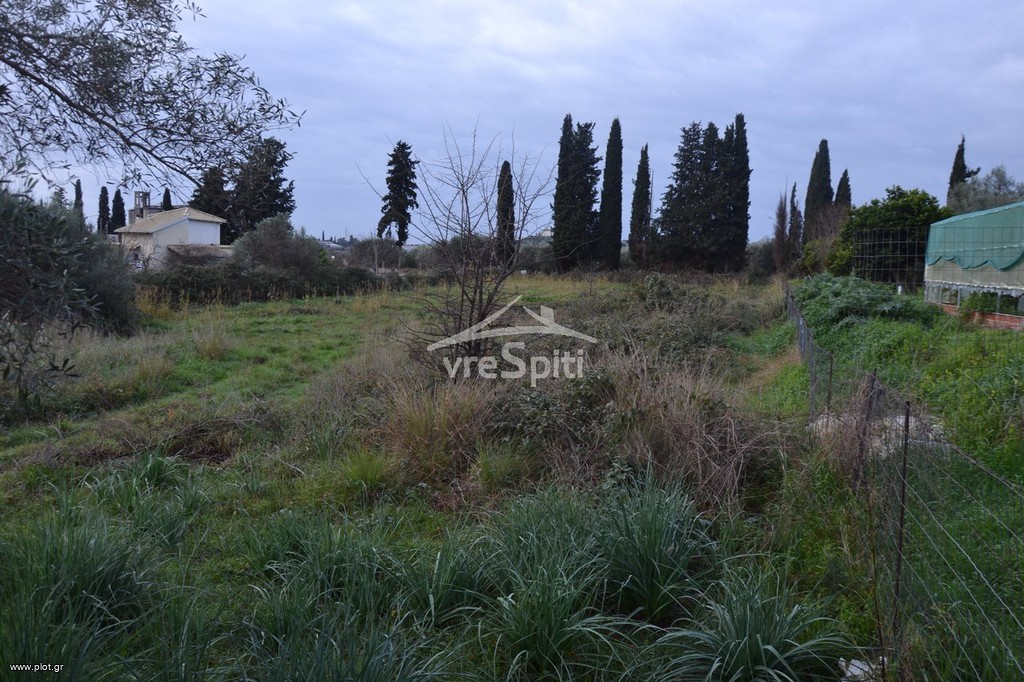 Αγροτεμάχια 5.300 τ.μ. πρός πώληση, Θεσπρωτία, Ηγουμενίτσα