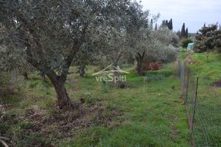 Αγροτεμάχια 5.300 τ.μ. για πώληση, Θεσπρωτία, Ηγουμενίτσα-thumb-3