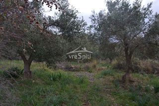 Αγροτεμάχια 5.300 τ.μ. για πώληση, Θεσπρωτία, Ηγουμενίτσα-thumb-4