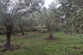 Αγροτεμάχια 5.300 τ.μ. για πώληση, Θεσπρωτία, Ηγουμενίτσα-thumb-6