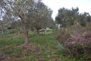 Αγροτεμάχια 5.300 τ.μ. για πώληση, Θεσπρωτία, Ηγουμενίτσα-thumb-7