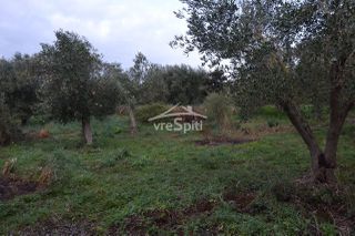 Αγροτεμάχια 5.300 τ.μ. για πώληση, Θεσπρωτία, Ηγουμενίτσα-thumb-8