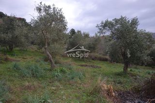 Αγροτεμάχια 5.300 τ.μ. για πώληση, Θεσπρωτία, Ηγουμενίτσα-thumb-9