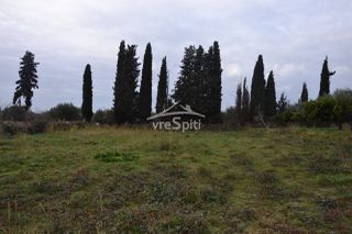 Αγροτεμάχια 5.300 τ.μ. για πώληση, Θεσπρωτία, Ηγουμενίτσα-thumb-11