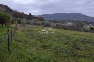 Αγροτεμάχια 5.300 τ.μ. για πώληση, Θεσπρωτία, Ηγουμενίτσα-thumb-13