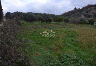 Αγροτεμάχια 5.300 τ.μ. για πώληση, Θεσπρωτία, Ηγουμενίτσα-thumb-14