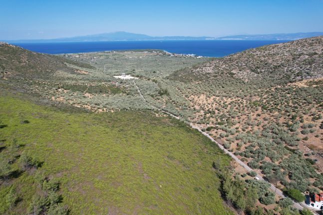 Parcel 6.930 sqm for sale, Kavala Prefecture, Thasos