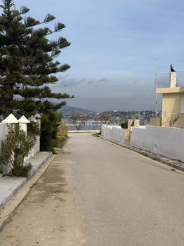 Land plot 400sqm for sale-Salamina