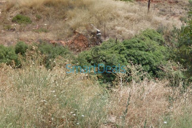 Οικόπεδο 804 τ.μ. για πώληση, Αθήνα - Ανατολικά Προάστια, Παλλήνη