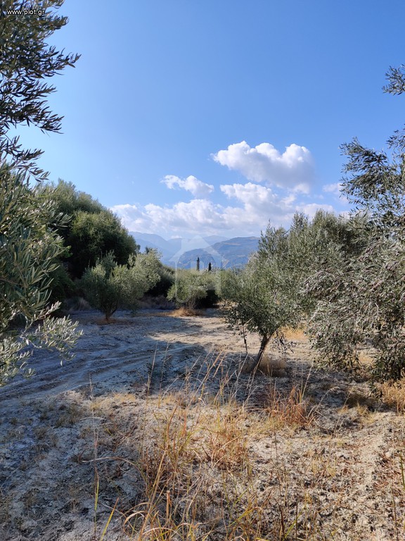 Αγροτεμάχια 2.300 τ.μ. προς πώληση, Ριζά Ξυλοκάστρου