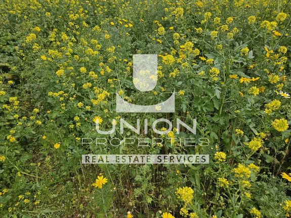 Land plot 107 sqm for sale, Athens - South, Ilioupoli