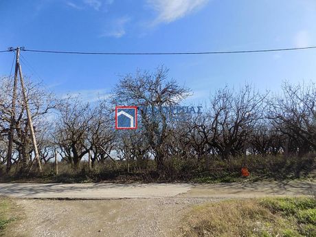 Αγροτεμάχια 5.564τ.μ. για πώληση-Λαμία » Κόμμα