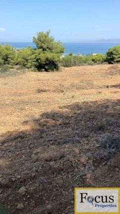 Οικόπεδο 12.445 τ.μ. για πώληση, Νησιά Αργοσαρωνικού, Αίγινα