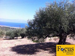 Οικόπεδο 540 τ.μ. για πώληση, Αχαΐα, Ακράτα-thumb-2