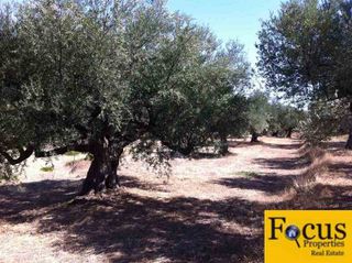 Οικόπεδο 540 τ.μ. για πώληση, Αχαΐα, Ακράτα-thumb-3