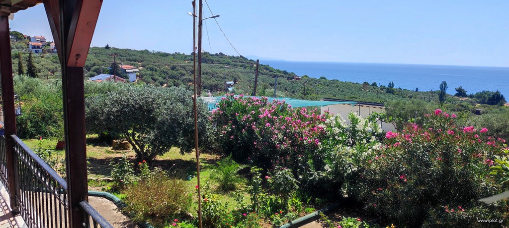 Οικόπεδο 4.000 τ.μ. πρός πώληση, Εβρος, Αλεξανδρούπολη