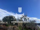 Land plot 540sqm for sale-Anavissos » Anavyssos Center