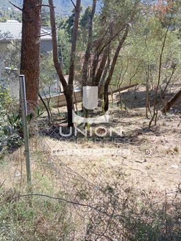 Οικόπεδο 800 τ.μ. για πώληση