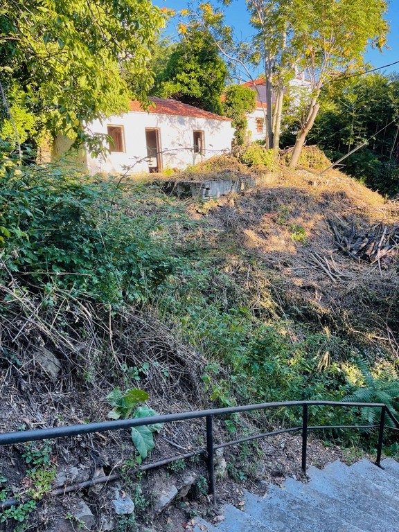 Οικόπεδο 449 τ.μ. πρός πώληση, Μαγνησία, Πορταριά