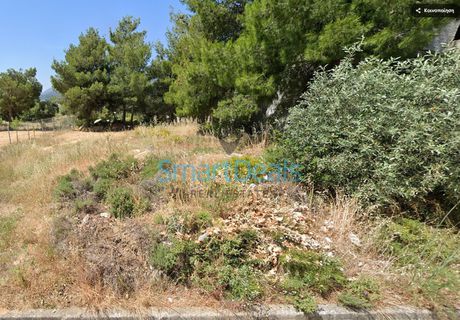 Land plot 600 sqm for sale
