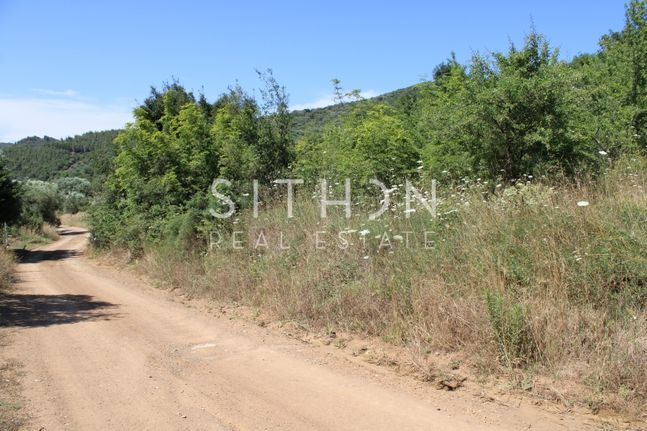 Αγροτεμάχια 677 τ.μ. για πώληση, Χαλκιδική, Τορώνη