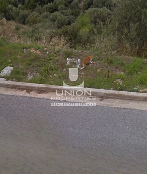 Οικόπεδο 350 τ.μ. για πώληση